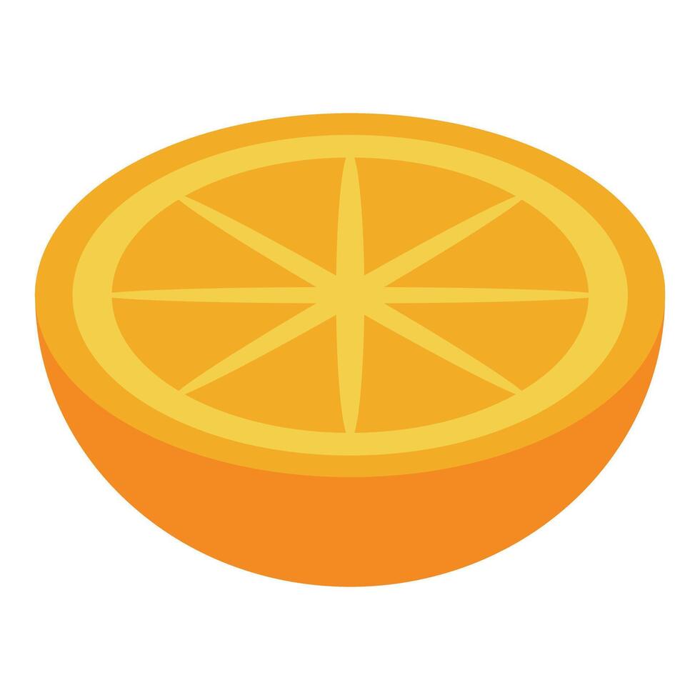 Orange slice showing its fresh and juicy pulp vector