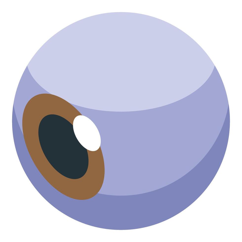 Human eyeball showing iris and pupil, observing and focusing light vector