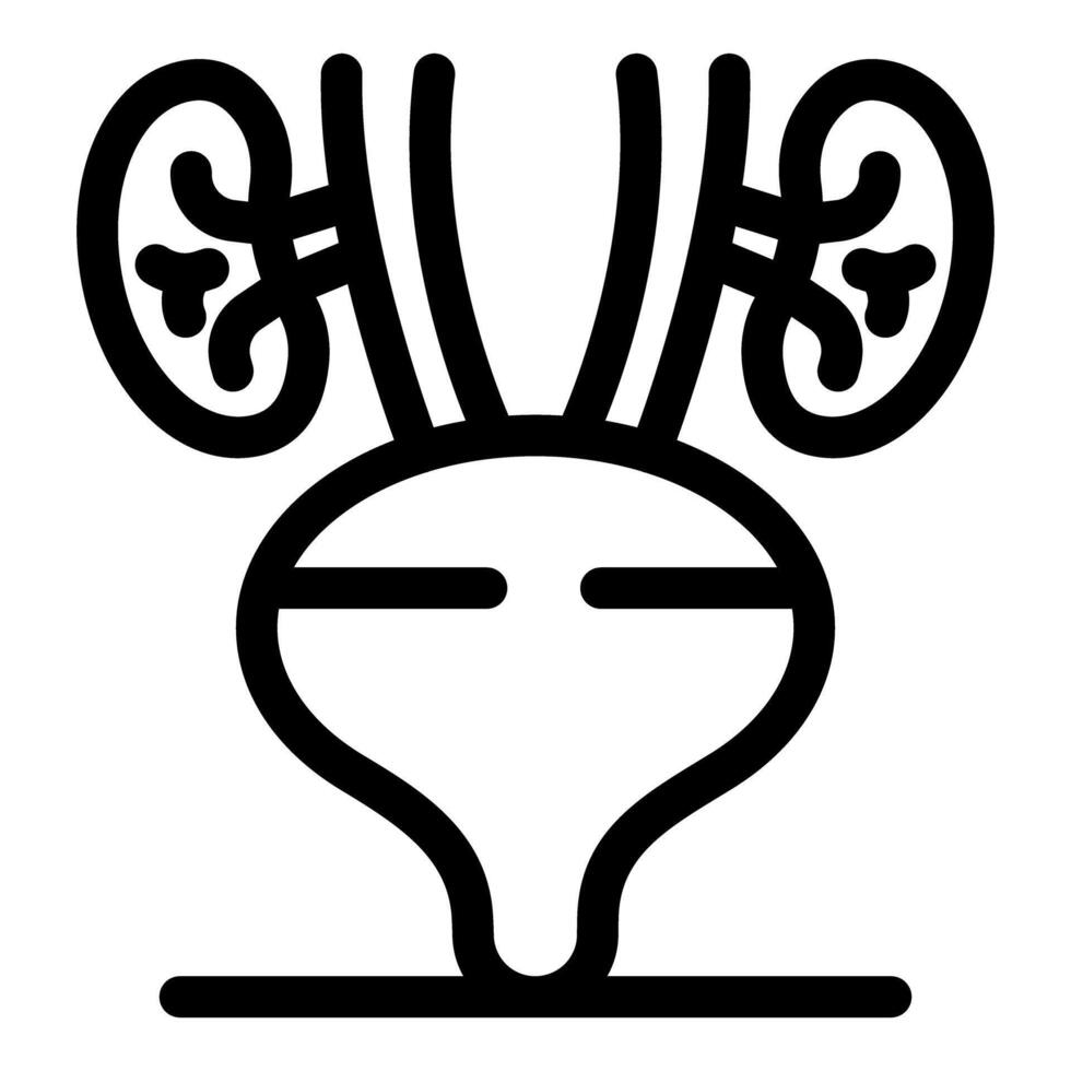 Human kidneys and bladder maintaining body fluid balance vector