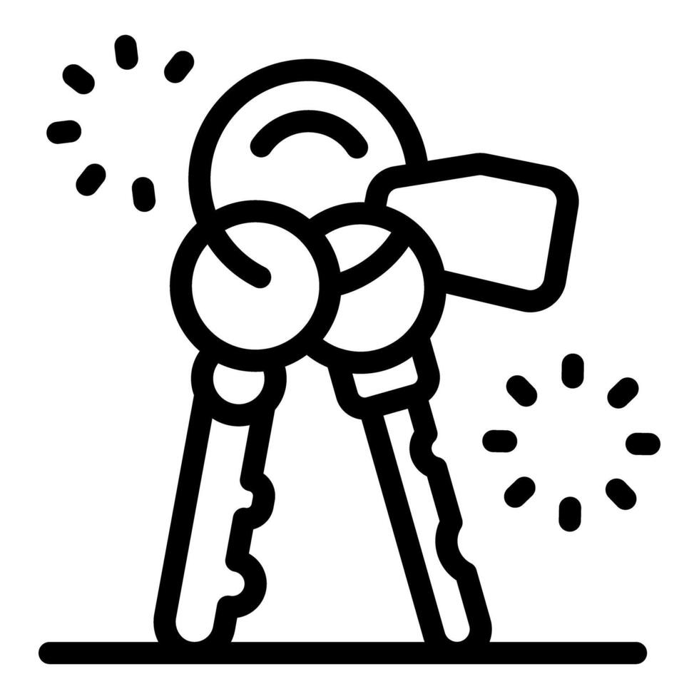 Keys with keyring and label representing access and security vector