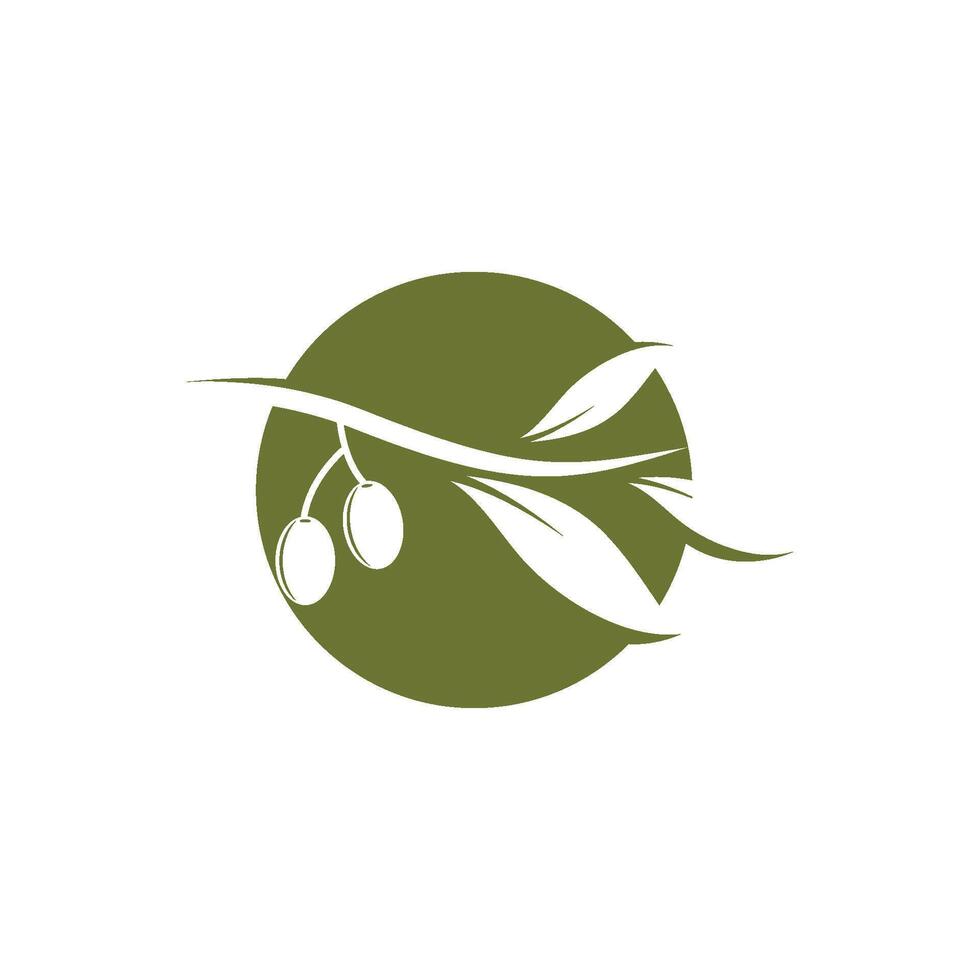 olive fruit illustration icon vector