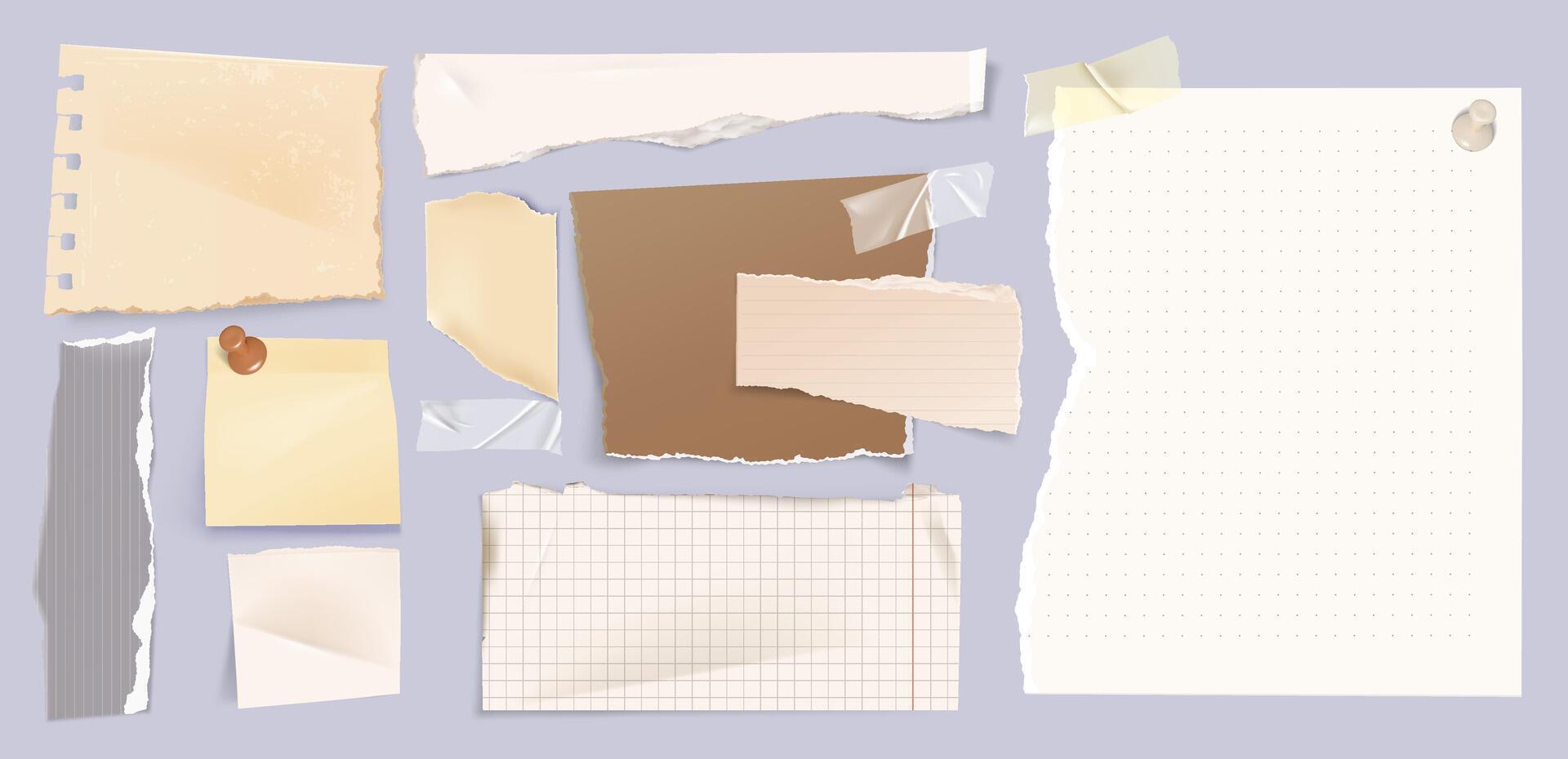 Realistic Torn paper Original Set vector