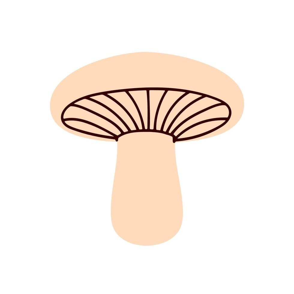 Mushroom with beige cap and gill lines underneath vector