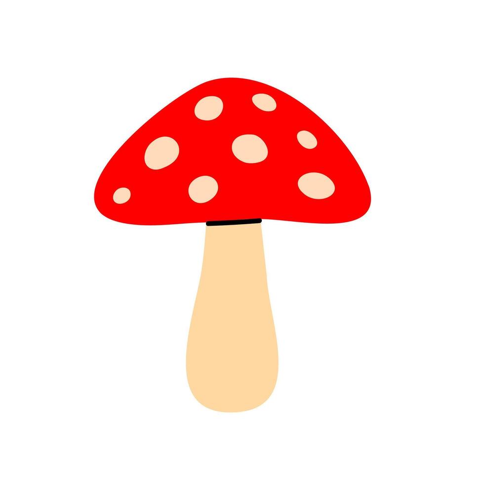 Red toadstool mushroom with white spots and thick stem vector
