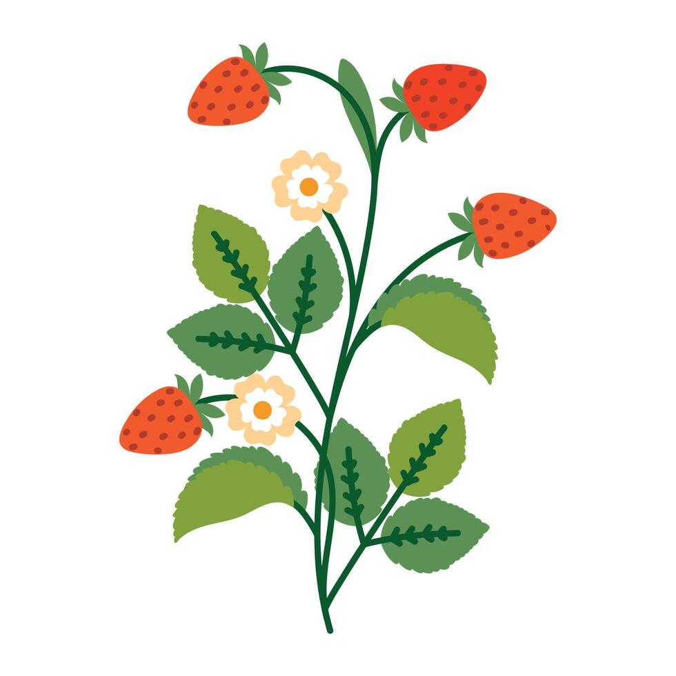Cute Strawberry Bush with Flowers, Leaves and Berries. Colorful plant with cute line sketches of branches isolated on white background. Nature herb perfect for invitations, cards, posters, holidays vector
