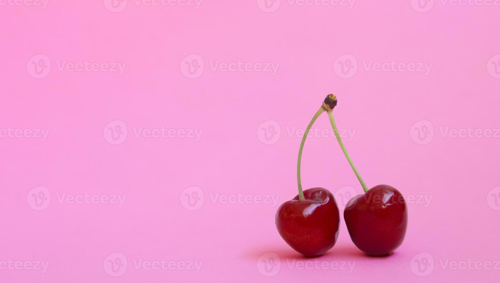 Fresh cherries with stems on a pink background photo