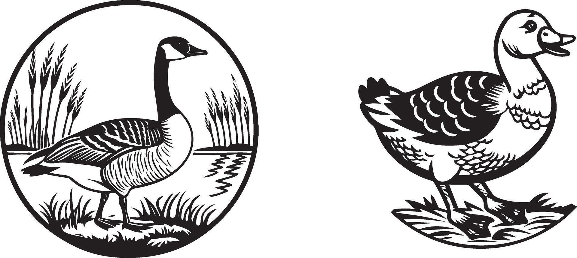 WebGoose and Duck in Circular and Open Designs vector