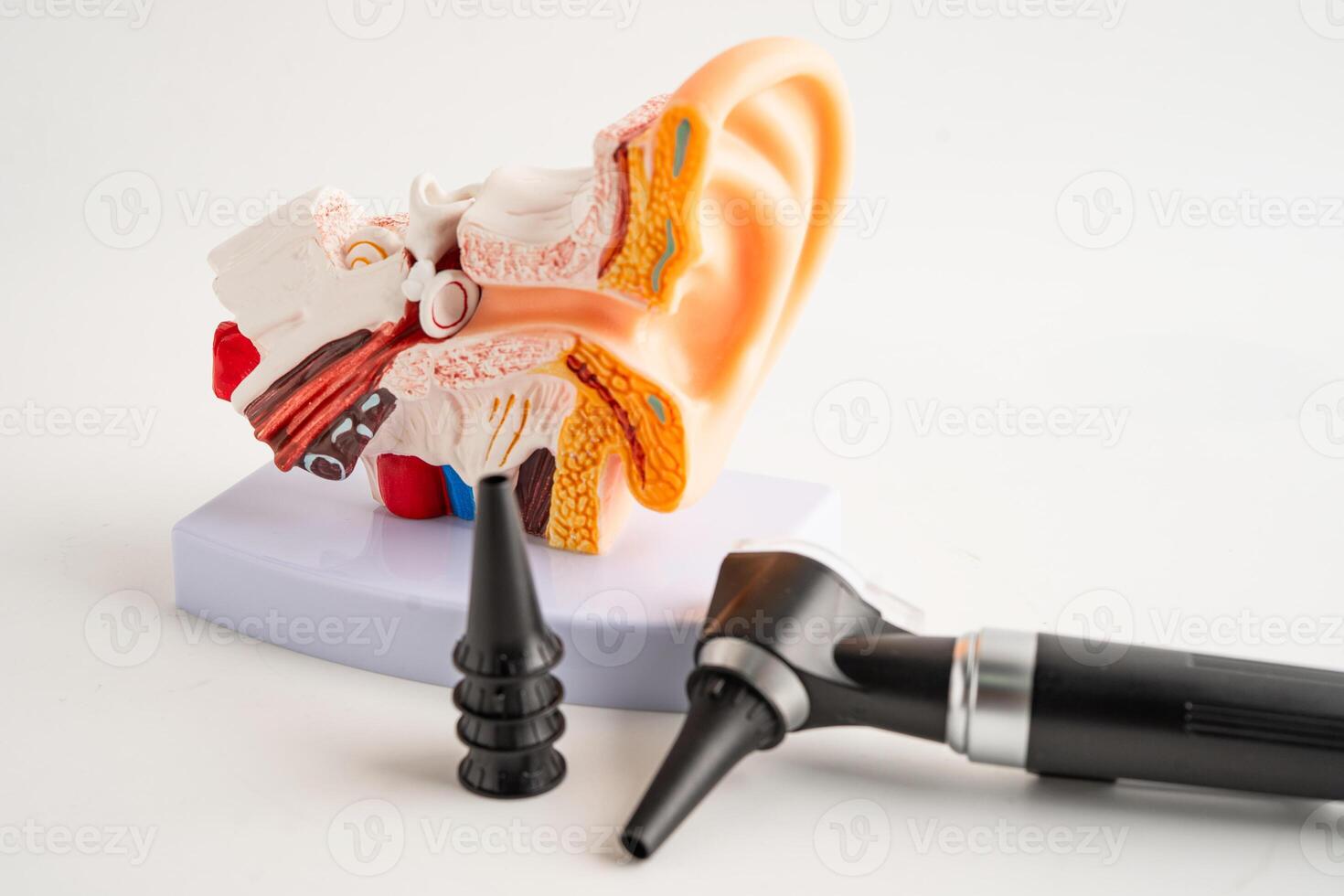 Otoscope model for audiologist or ENT doctor use otoscope checking ear and treat hearing loss problem. photo