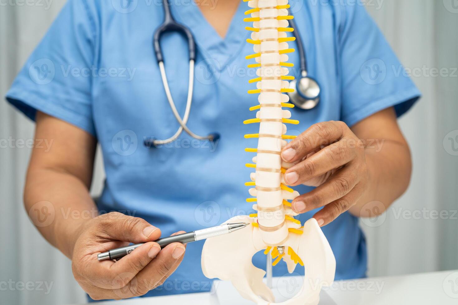 lumbar vertebra bone skeleton and nerve model for treatment in the orthopedic department. photo