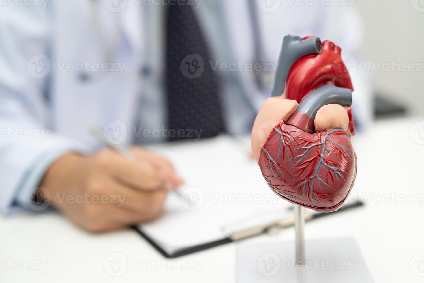 Cardiovascular disease CVD, Asian doctor holding human anatomy model for learn heart photo