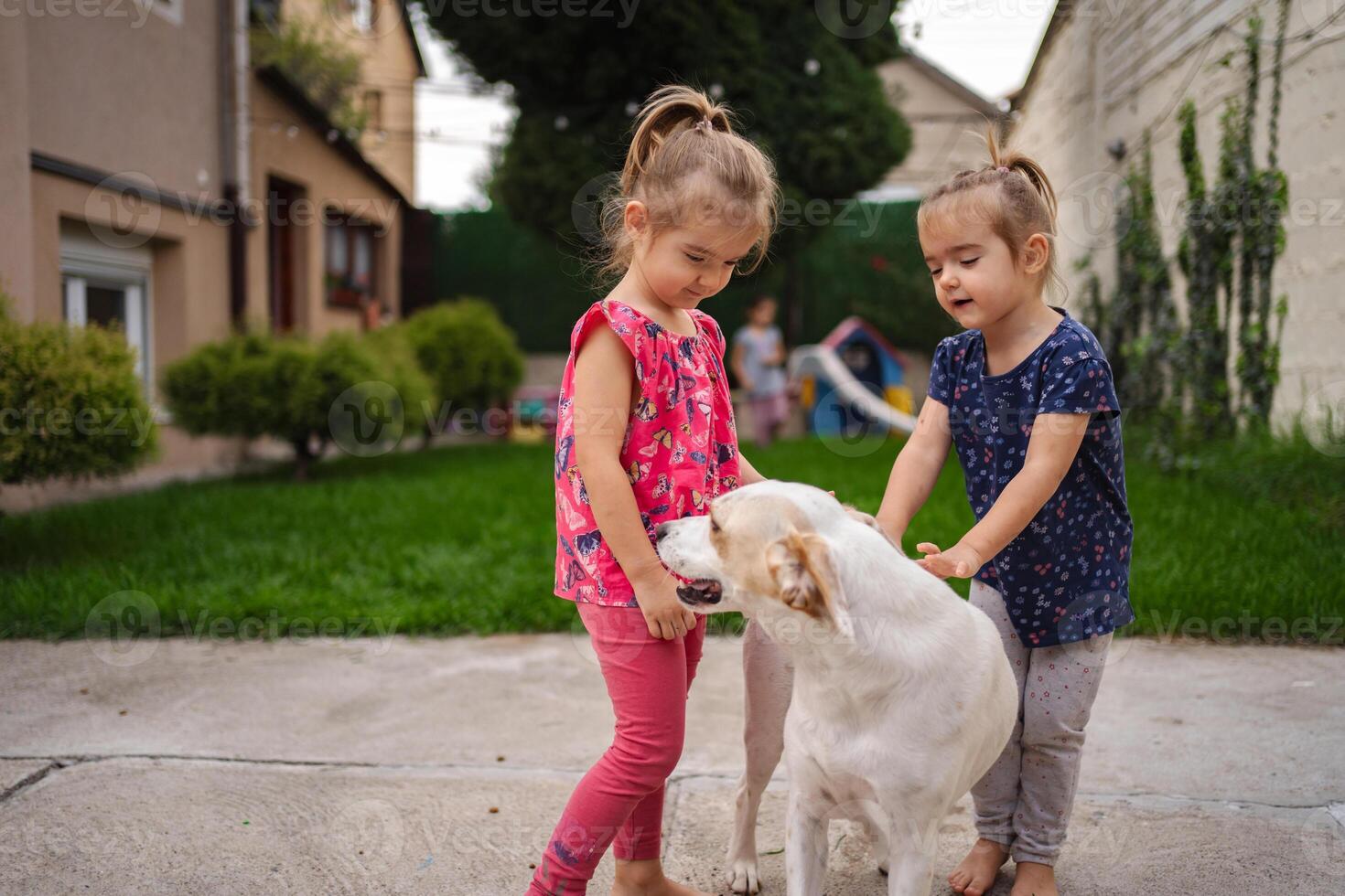 Joyful twins play with their friendly dog in a sunny backyard photo