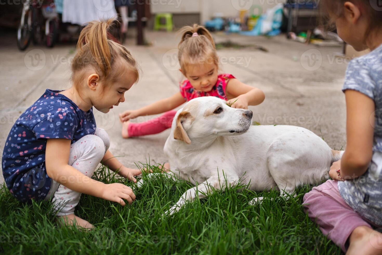 Children enjoying playful moments with their friendly dog outdoors photo