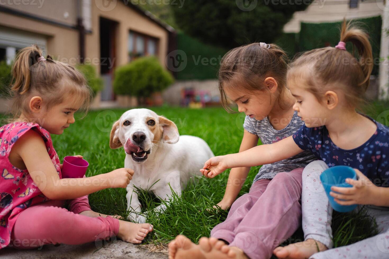 Joyful moments with a playful dog and children in a sunny garden photo