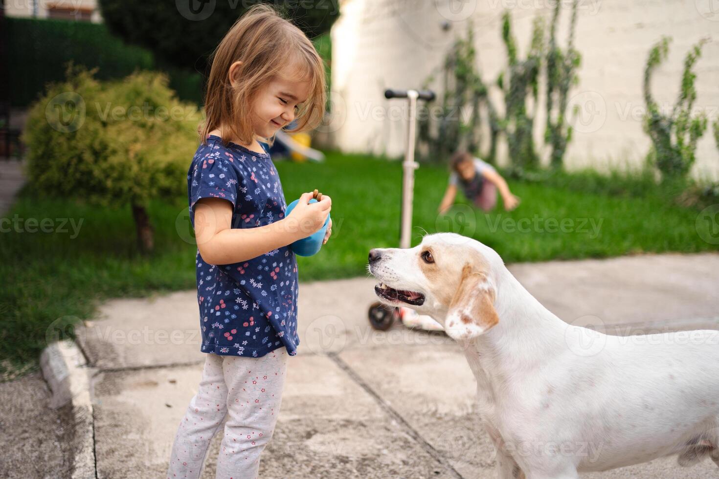 Joyful moments between a child and a friendly dog in the garden photo