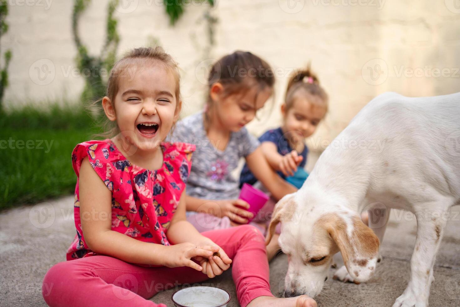 Joyful children playing with their dog in a sunny backyard photo
