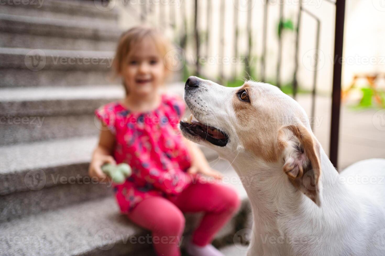 Joyful moments between a child and her playful dog on the stairs photo