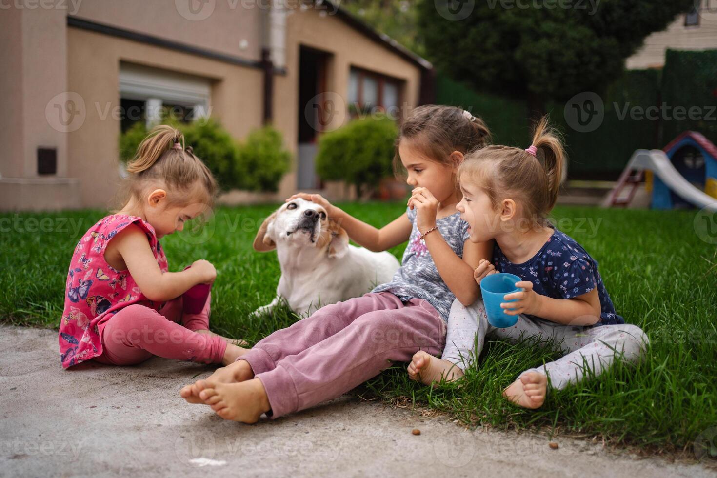 Playful children enjoy a sunny afternoon with their dog in the garden photo