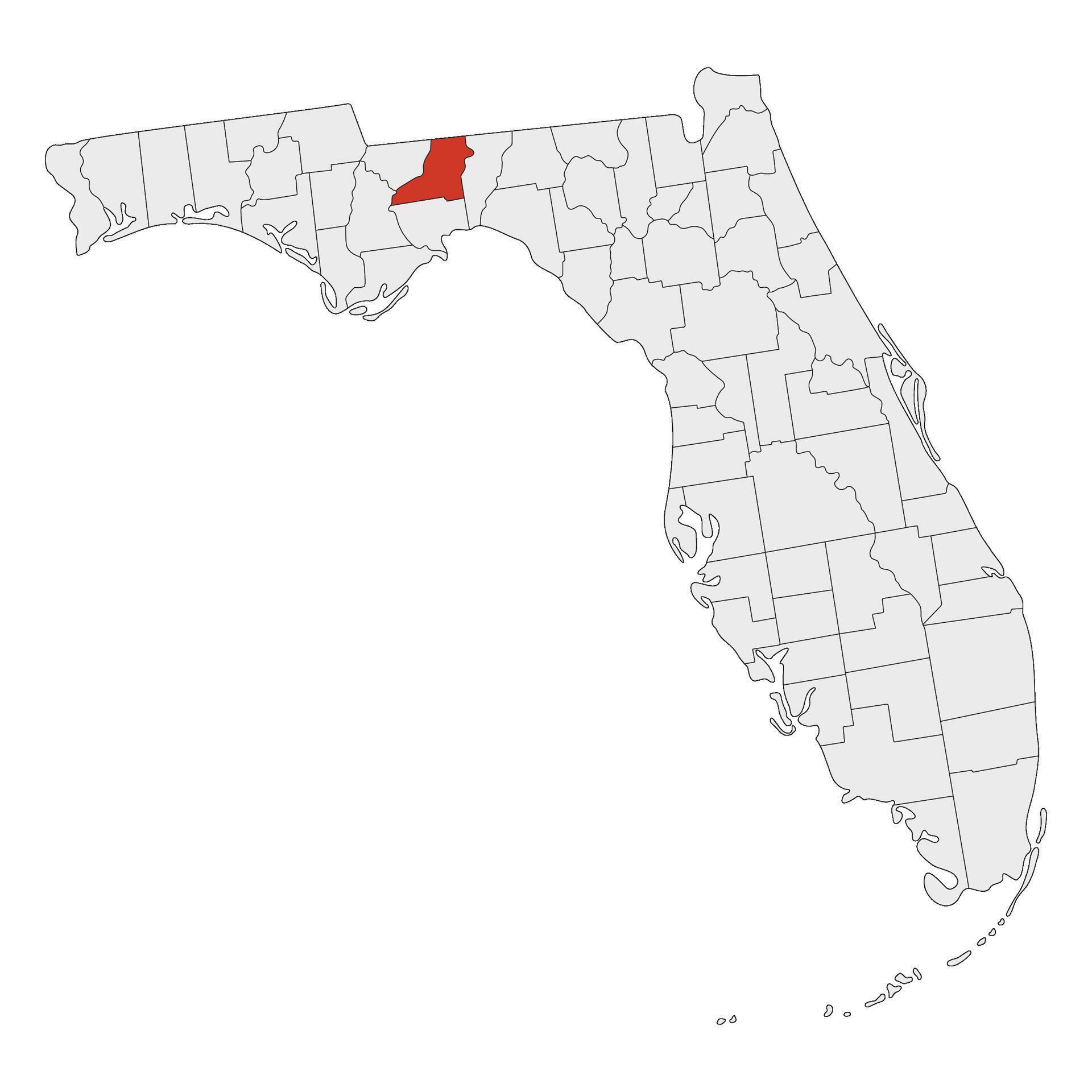 Florida state map with capital - Florida State Map With Capital City Tallahassee Map Of The U S State Of Florida With Tallahassee City Vector