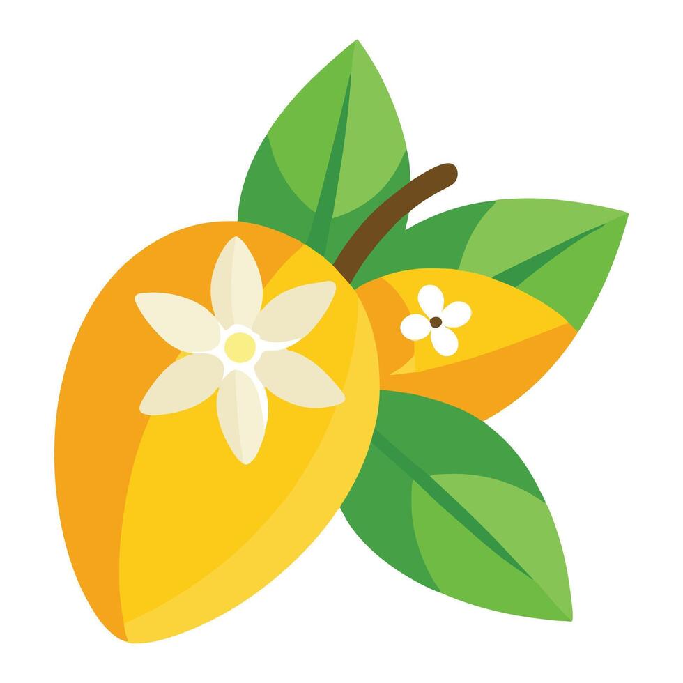 Ripe Juicy Mango with Blossoms on Branch, Vibrant Tropical Fruit Illustration, Summer Mood - Professional digital artwork with vibrant colors and detailed composition vector