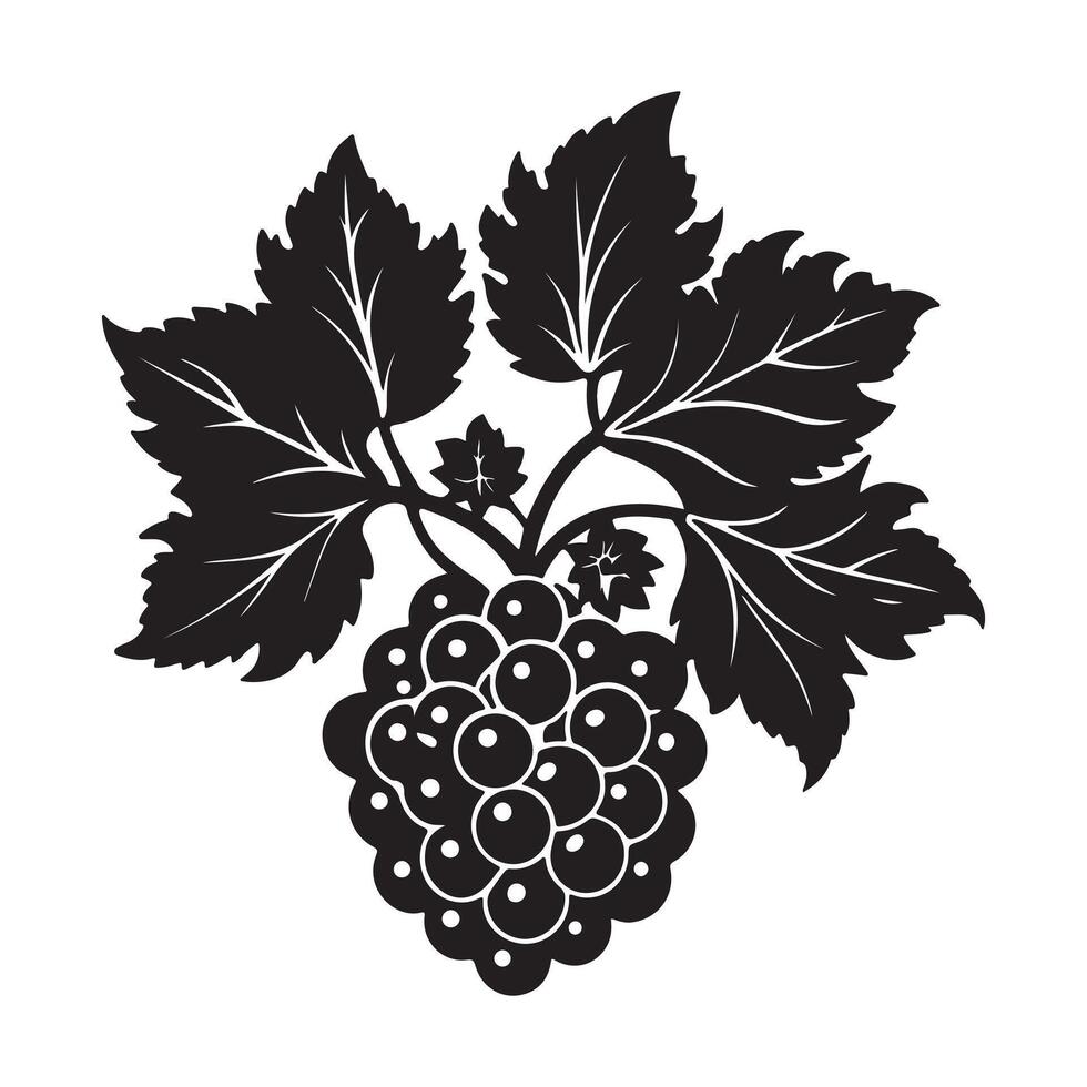 Elegant Black and White Silhouette of a Blackberry Bunch on a Vine with Lush Leaves, a Striking Botanical Illustration vector