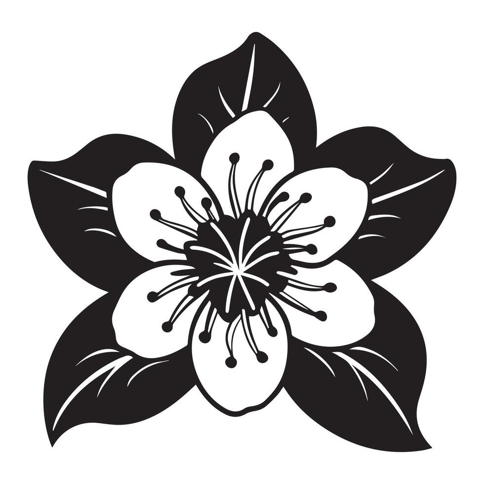 Elegant Black and White Blossom A Detailed Close-Up of a Striking Flower in Full Bloom Against a Pure White Background vector