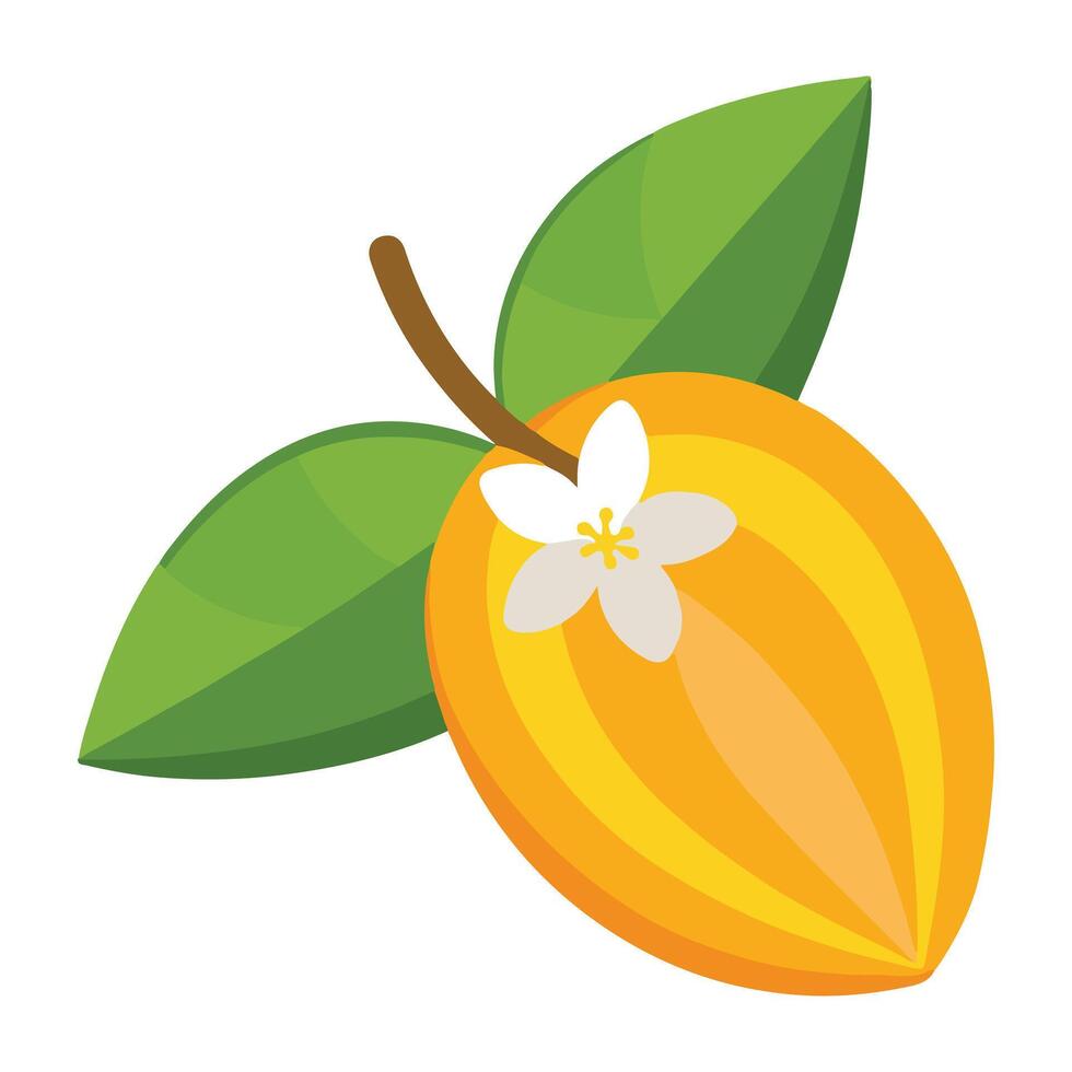 Ripe Yellow Tropical Fruit with Blossom and Leaves Vibrant Illustration of Exotic Summer Citrus - Professional digital artwork with vibrant colors and detailed composition vector