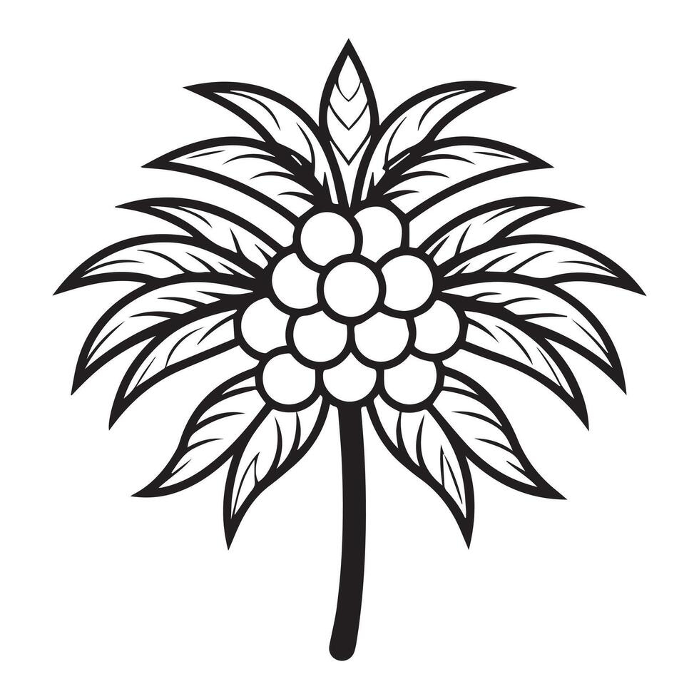 Elegant Black and White Line Art Illustration of a Tropical Palm Tree with Fruit Cluster, Evoking a Serene and Exotic Mood vector