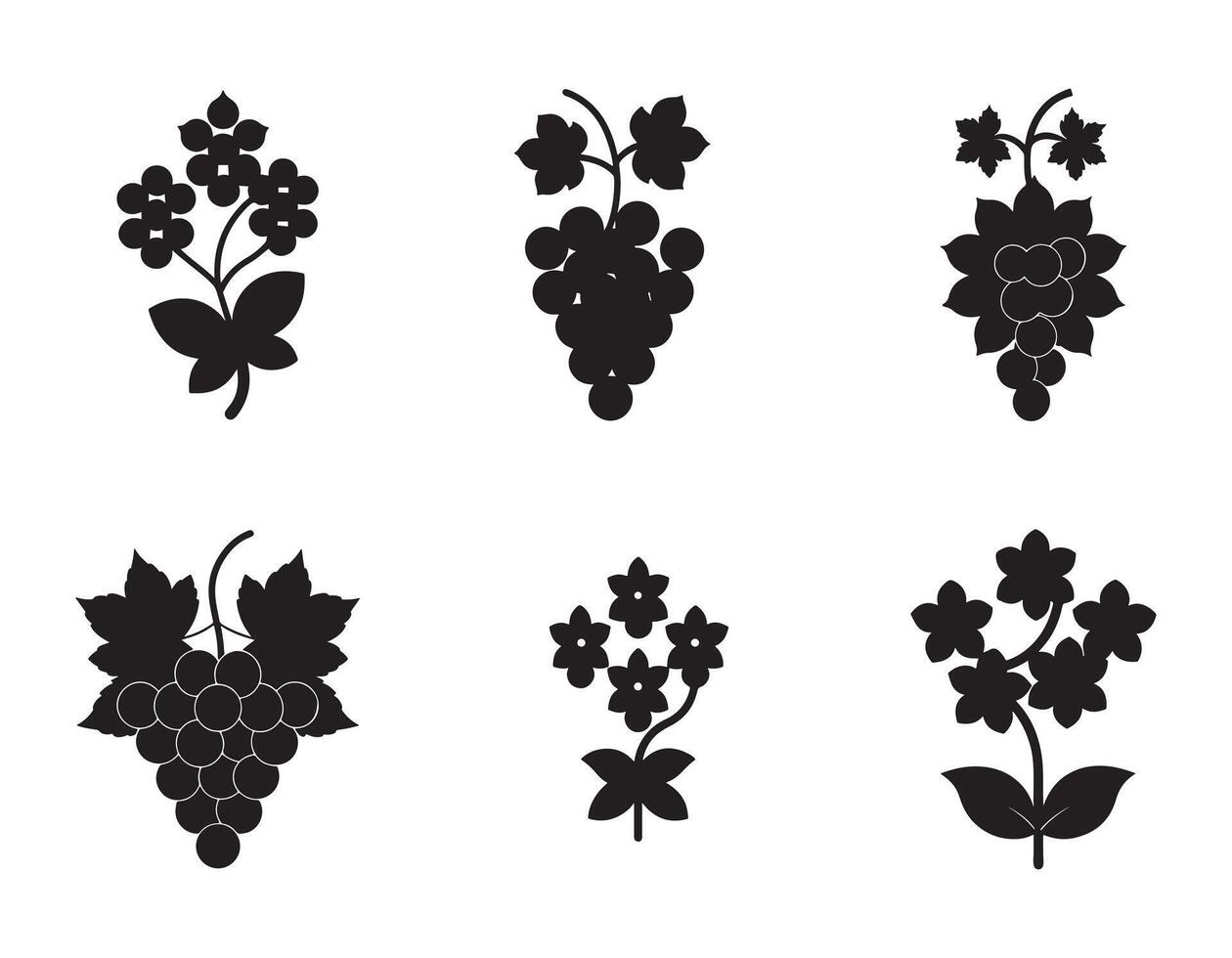 Six Elegant Black Silhouette Botanical Illustrations of Grapes and Flowers, Perfect for Vintage Designs and Rustic Decor vector
