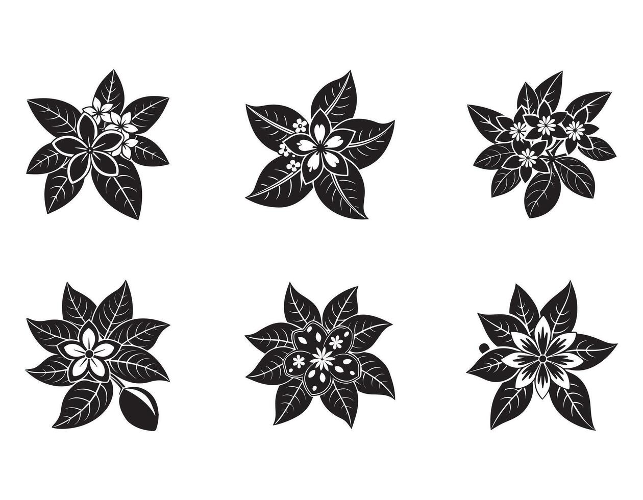 Six Elegant Black and White Floral Designs Star-Shaped Plumeria Flowers in a Simple, Sophisticated Style vector