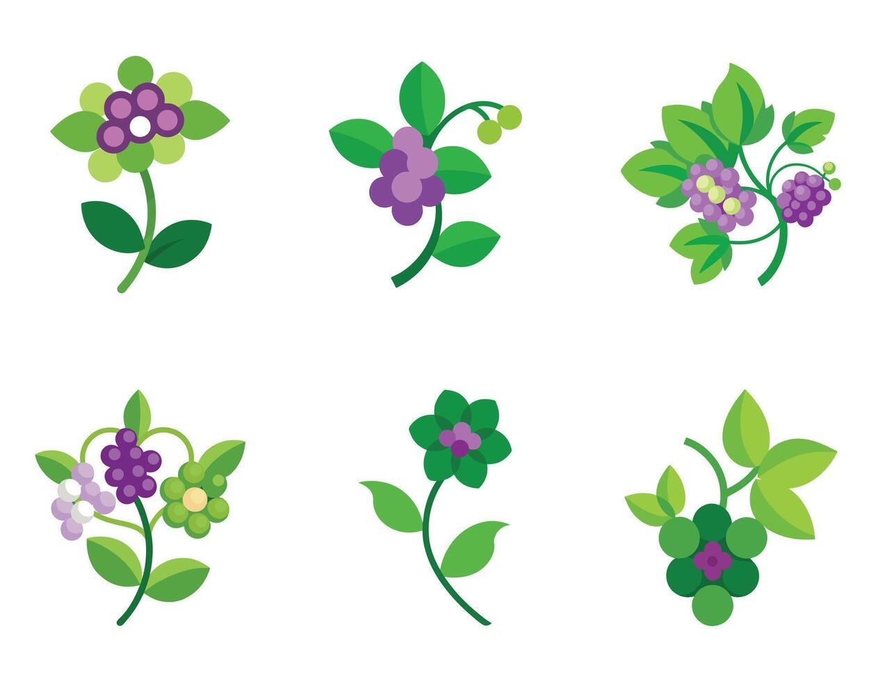Six Delightful Illustrations of Stylized Purple Berry Blossoms and Flowers, a Charming Botanical Collection - Professional digital artwork with vibrant colors and detailed composition vector