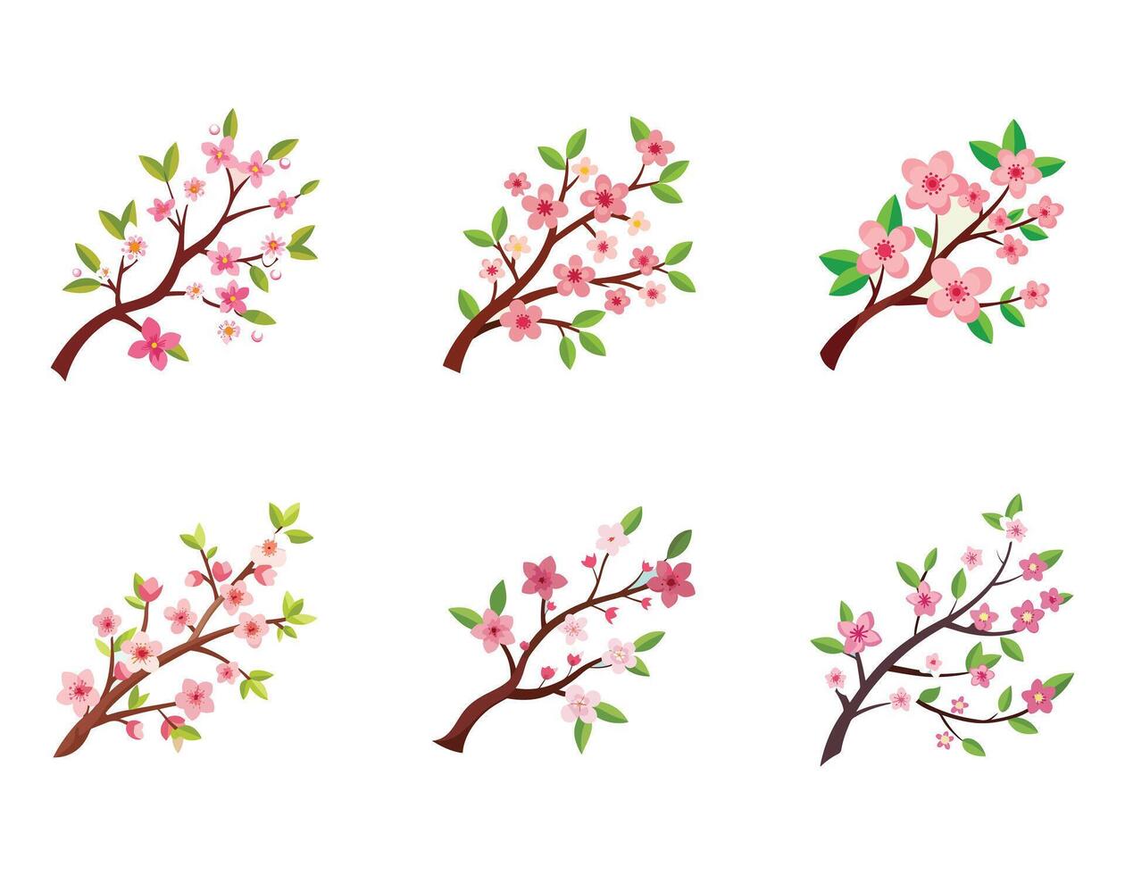 Six Delicate Pink Cherry Blossom Branches Isolated on White Background, Spring Floral Design, Peaceful and Serene Mood vector