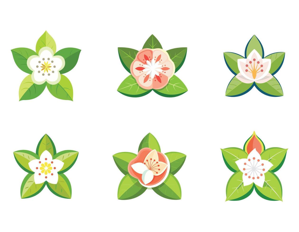 a guava flower icon with white petals and a cluster vector