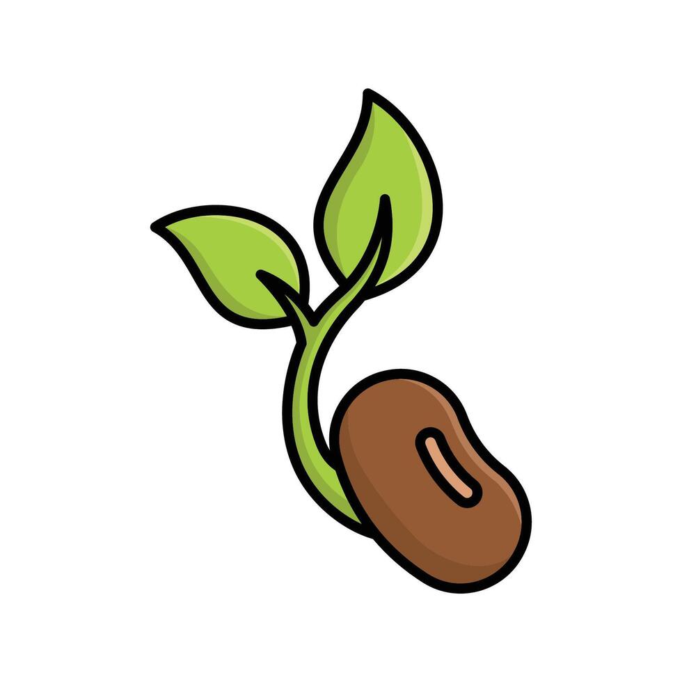 Botanical Seed Icons vector