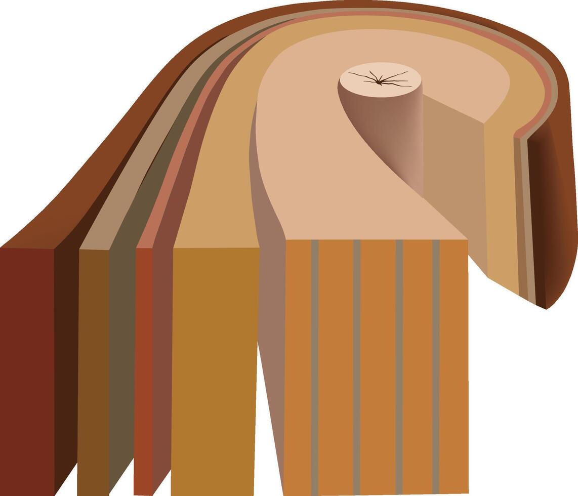 A wood grain illustration of a piece of wood vector