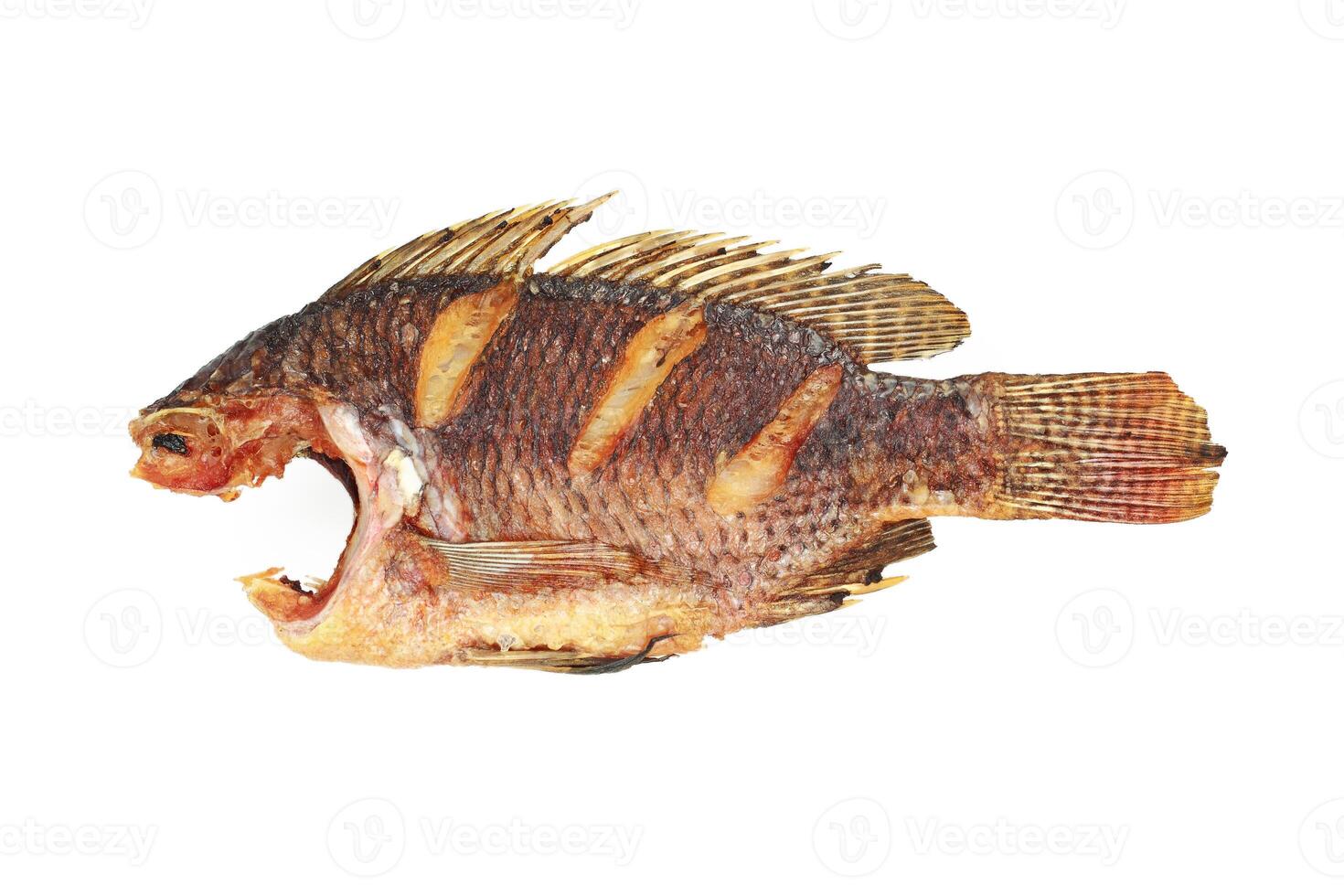 Fried tilapia fish without head isolated on white photo