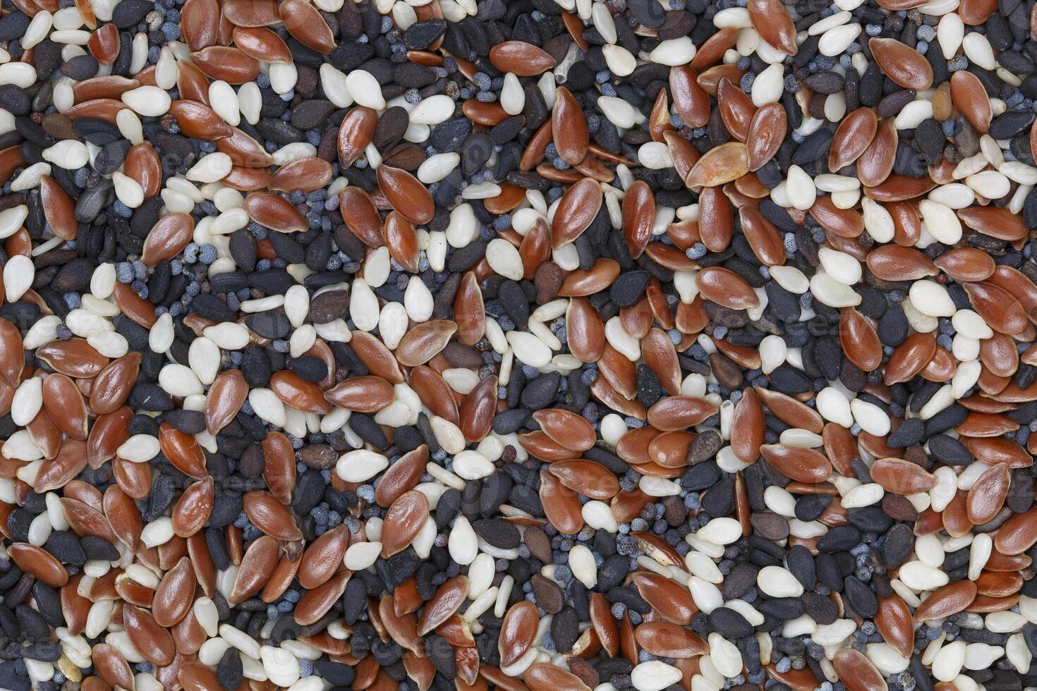 Linseed,poppy seed,sesame seeds for pattern photo