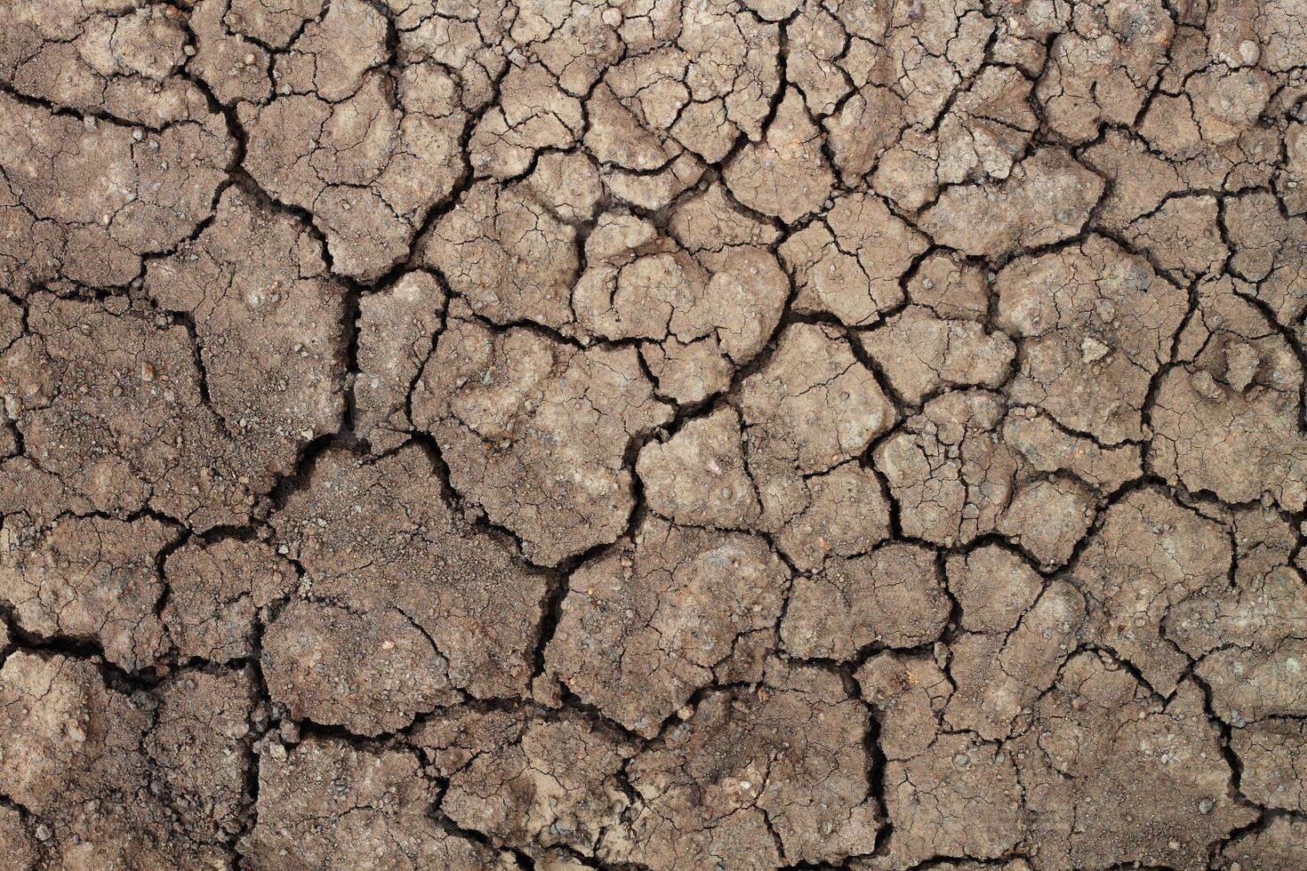 Dry soil for pattern and background photo