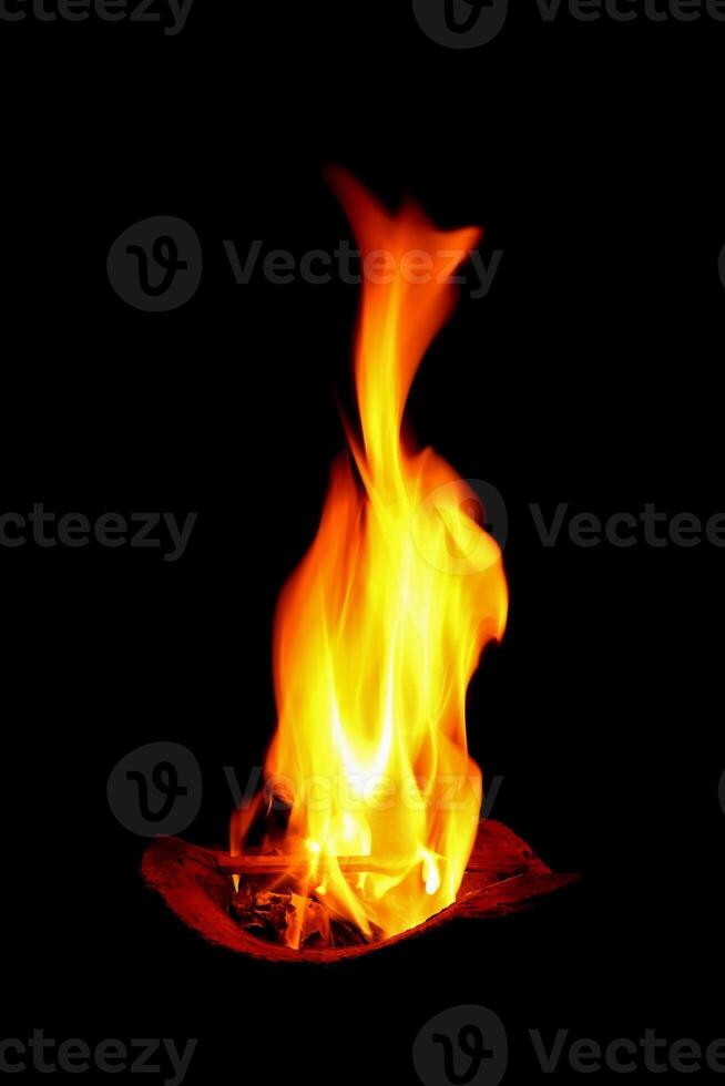 burning firewood with fire in stove photo