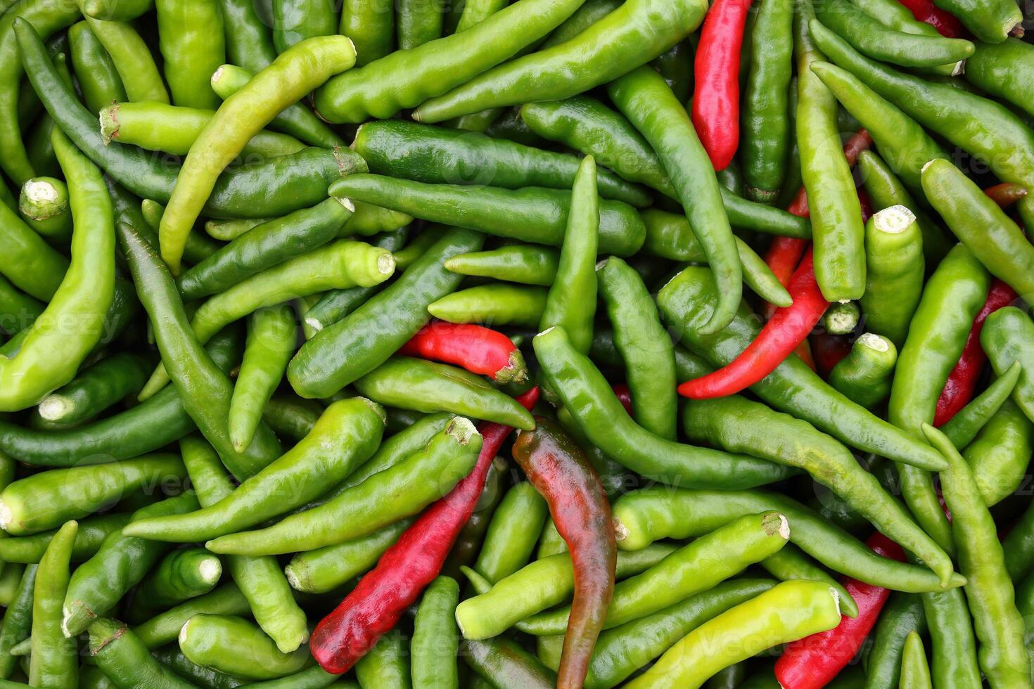 green and red chili for pattern and background photo