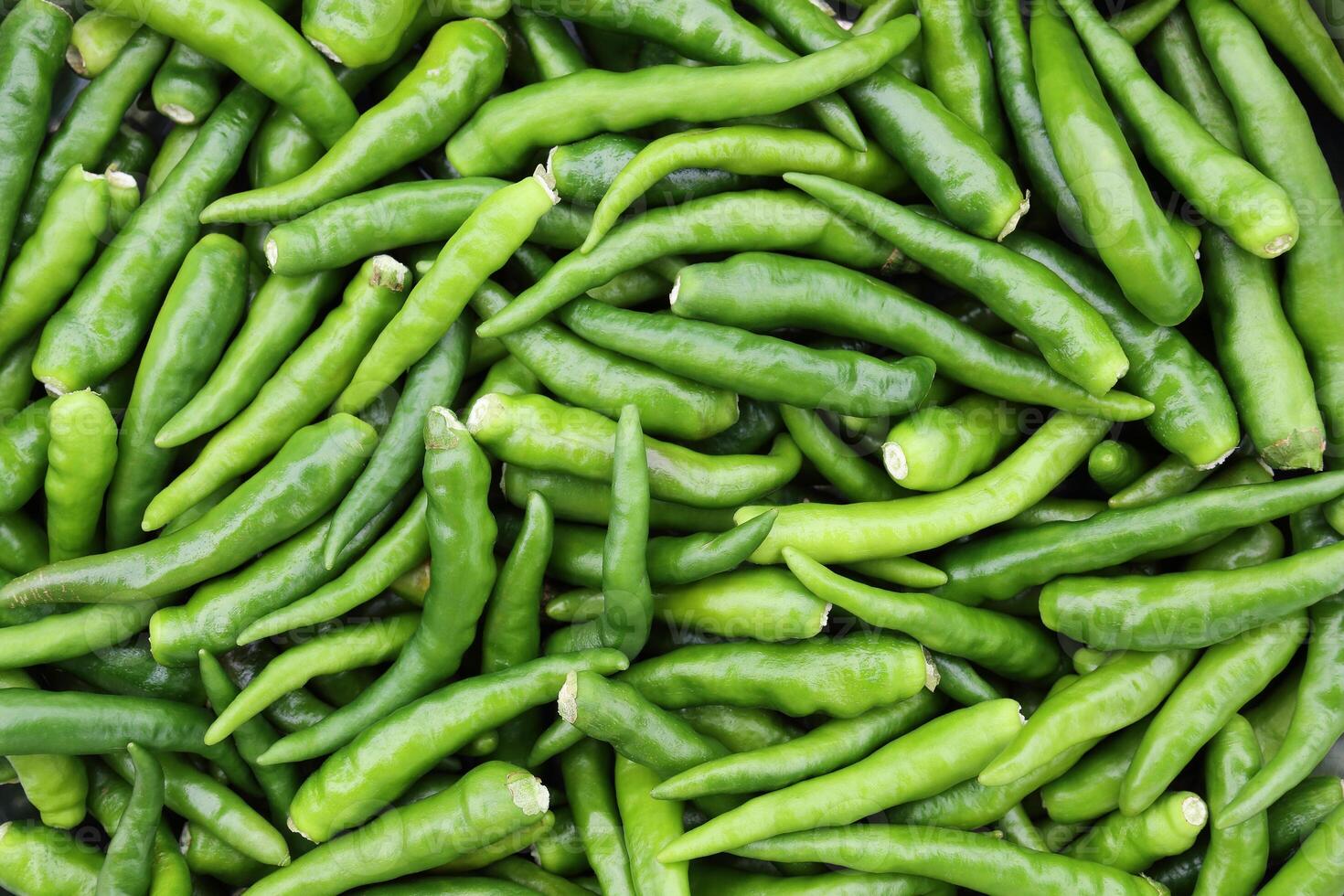 green chili for pattern and background photo