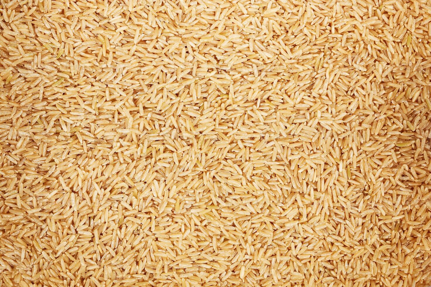 healthy unpolished brown rice for pattern and background photo