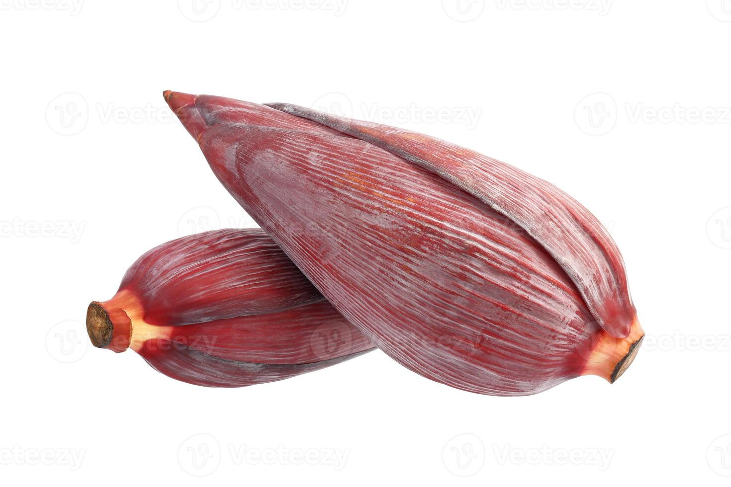 banana blossom isolated on white photo