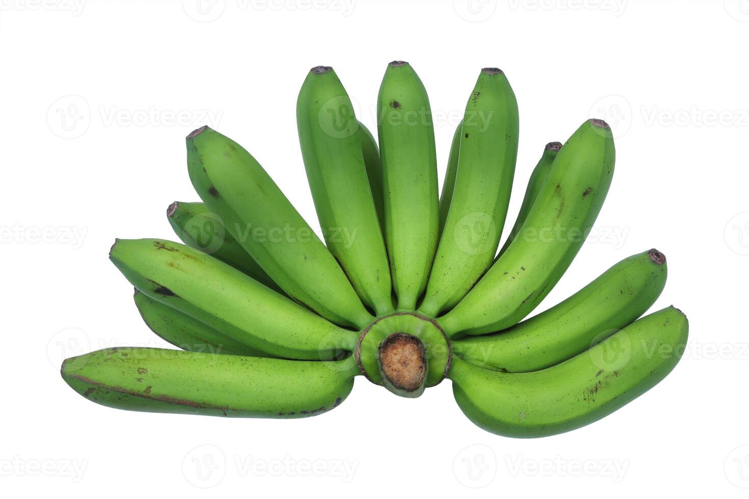 real green unripe cluster of banana isolated on white. photo