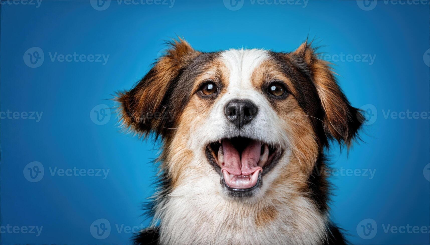 Jubilant Canine Radiating Joy on Vibrant Blue Background, Capturing a Moment of Pure Happiness and Playfulness in a Bold Color Scheme. photo