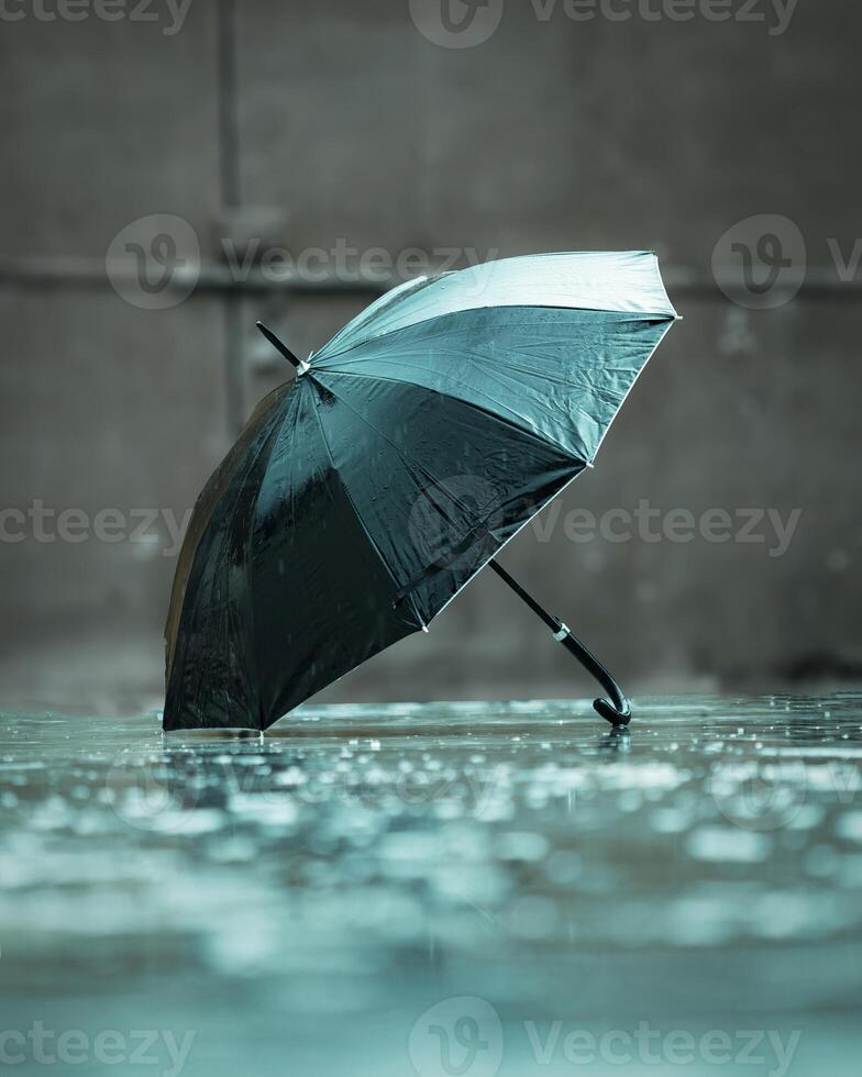 Black Umbrella On Floor In Heavy Rain photo