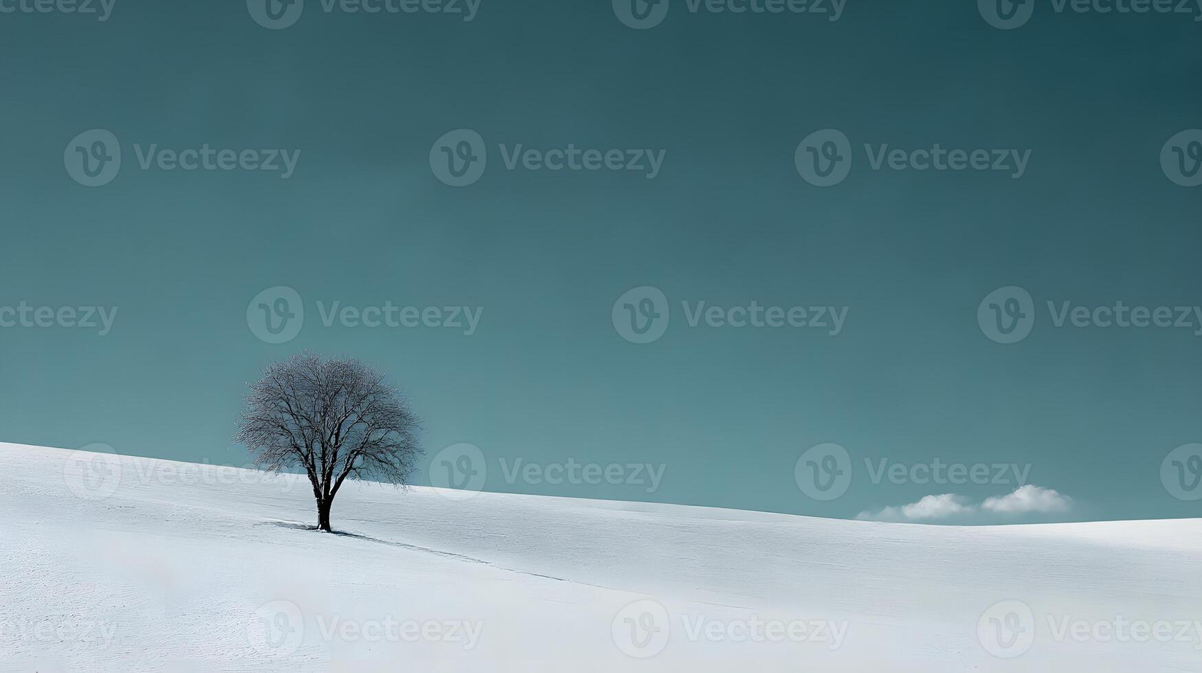 Quiet Beauty of Winter photo