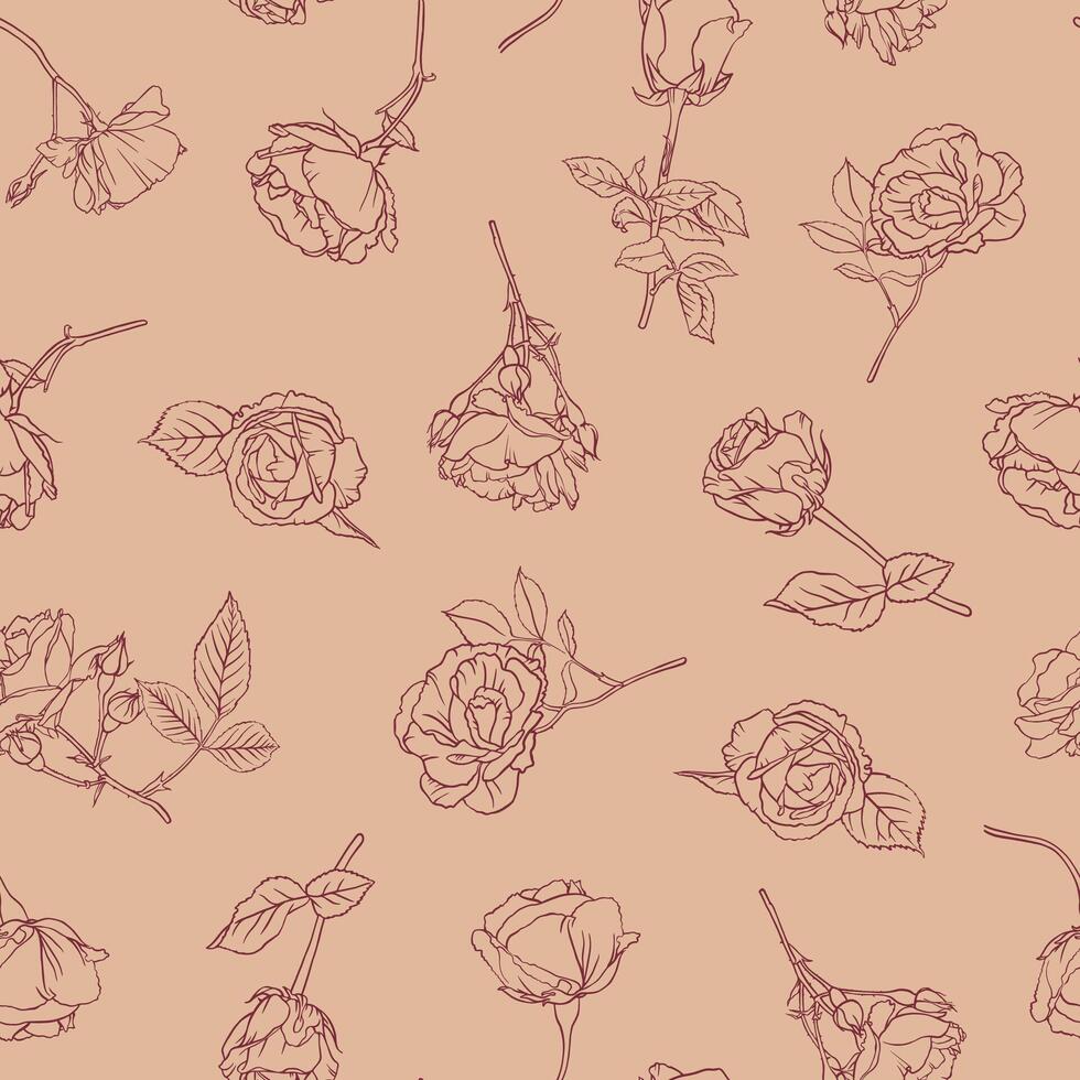 Seamless pattern of hand drawn roses on biscuit beige background in botanical graphic style vector