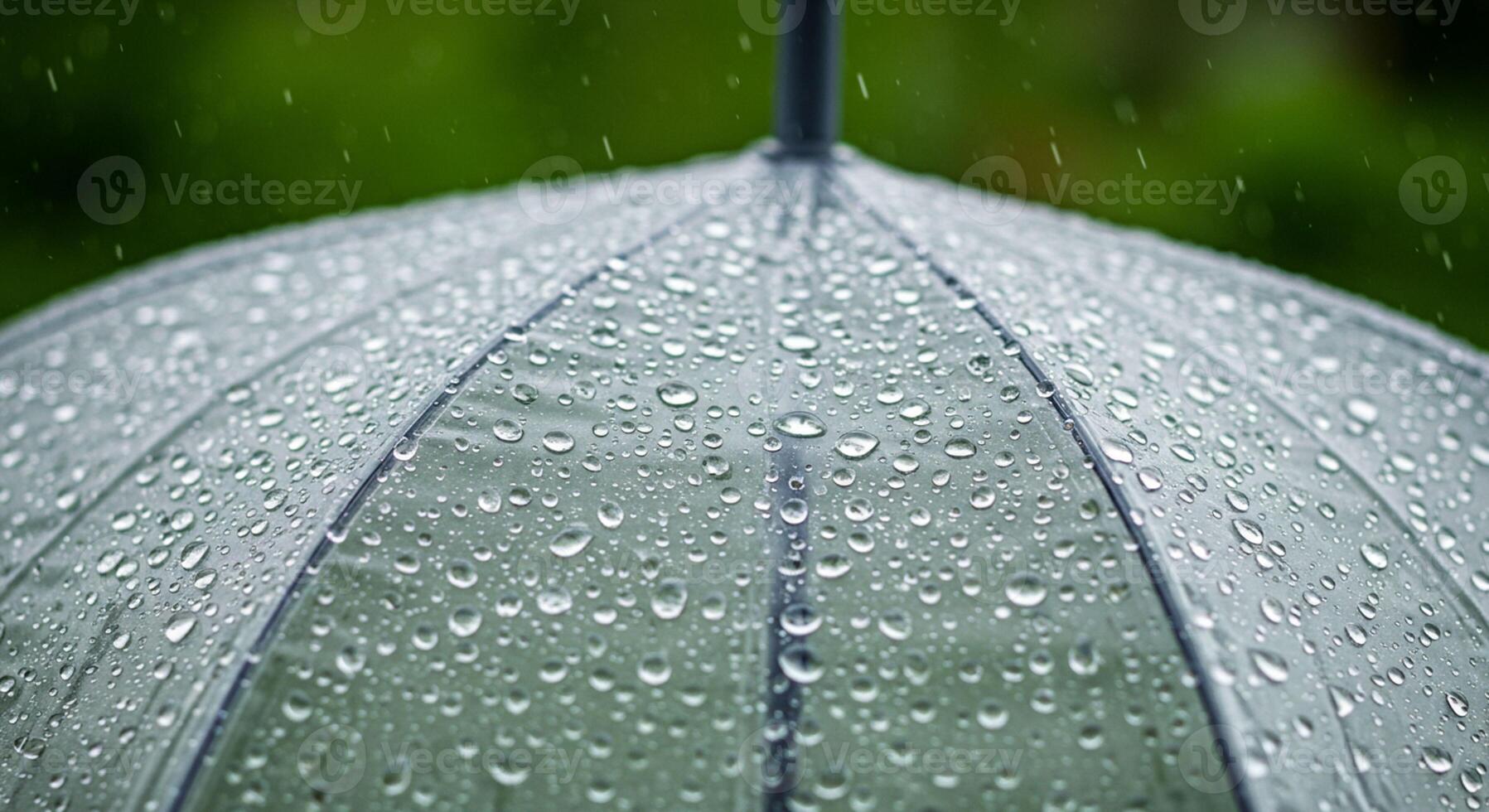 Raindrops on Umbrella photo