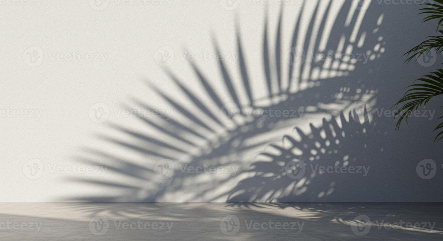 Fern Leaf Shadows on the Wall photo
