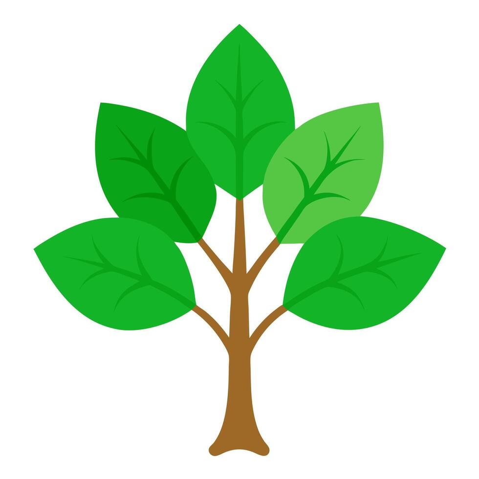 tree with green leaves on white background vector
